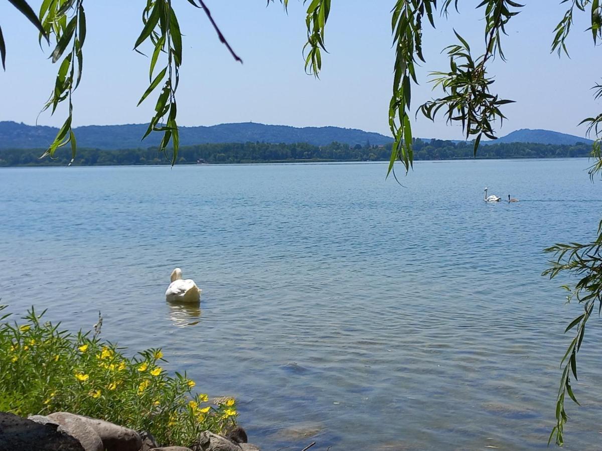 Appartamento Miralago Con Giardino Sul Lago Gavirate Exteriör bild