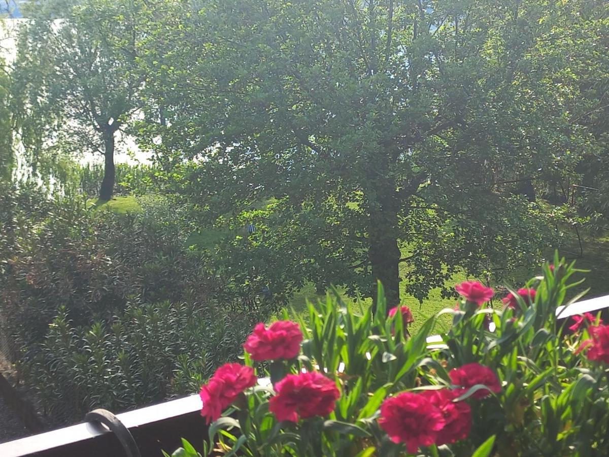 Appartamento Miralago Con Giardino Sul Lago Gavirate Exteriör bild