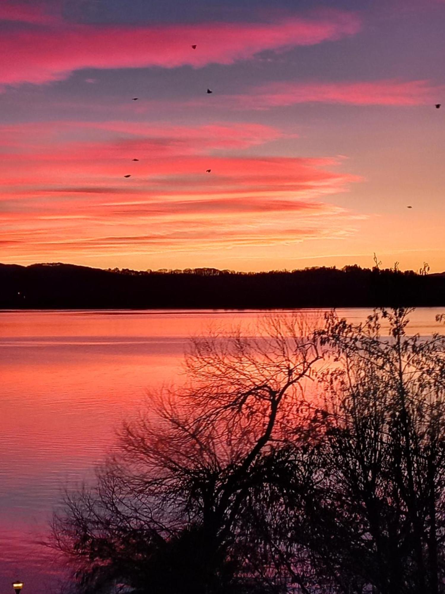 Appartamento Miralago Con Giardino Sul Lago Gavirate Exteriör bild
