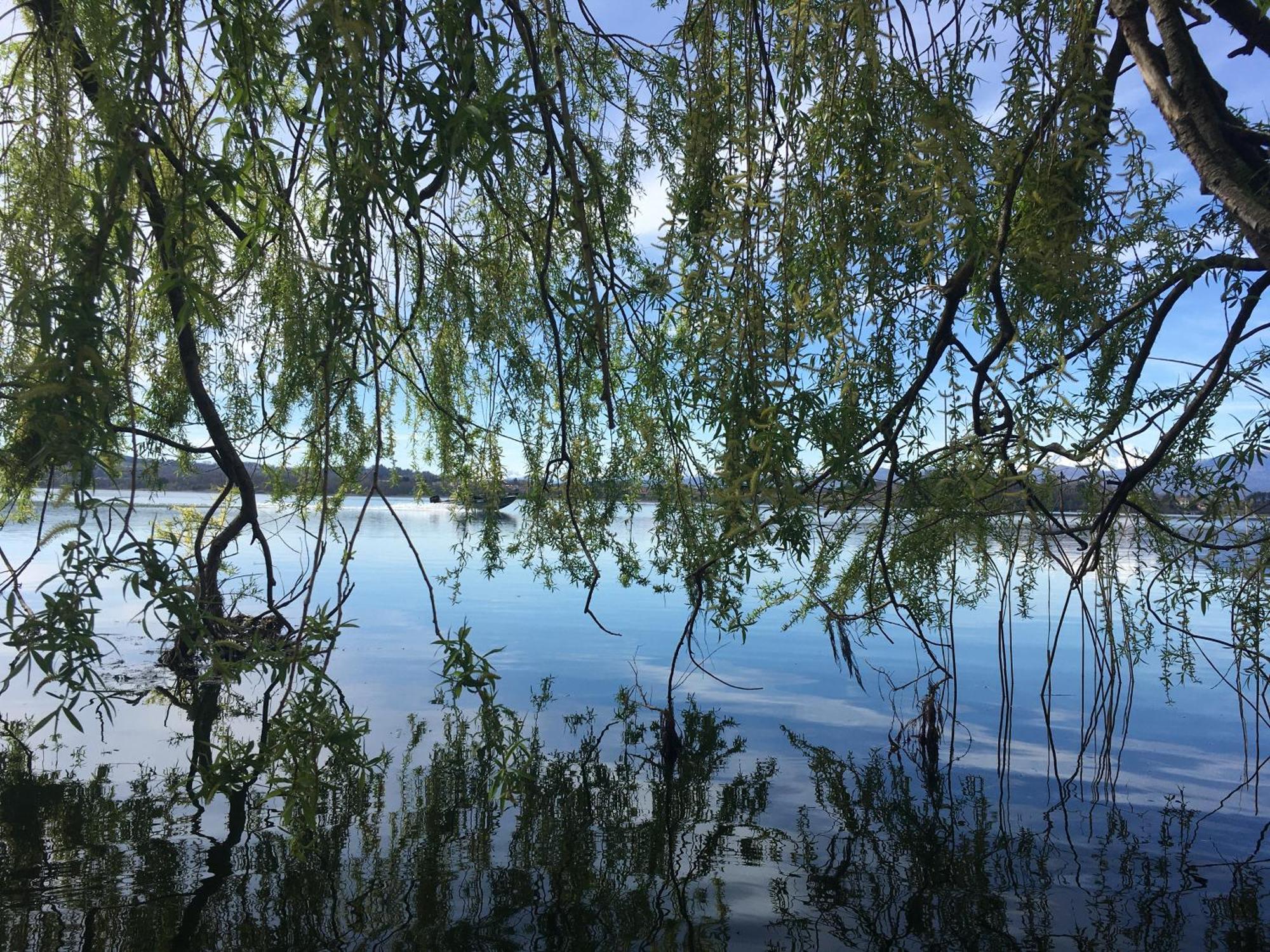 Appartamento Miralago Con Giardino Sul Lago Gavirate Exteriör bild